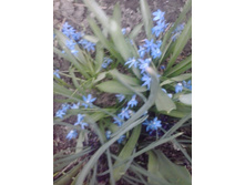 2016-04-16 16.52.34.jpg