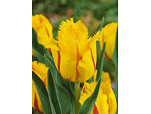 �������� ����������� ���-����� 125,3 ���. ��. (� �������� 7 ��.). ������ �� 50 ��. ������� ������ �� 12 ��.jpg