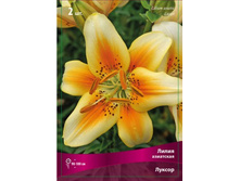 ����� ���-��� 184 ���. ��. (� �������� 5 ��.). ������ �� 100 ��. ������� ������� �� 20 ��. �������� ������!!!!!!!!!!!!!!!!.jpg