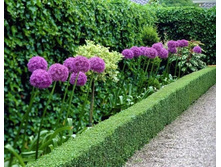 .��� � ����3.jpg