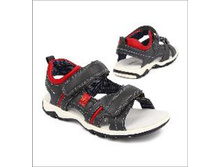 752 ���. - ��������� ������., (���), �. 31, 33, 34, 35, 36