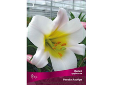 ����� ���-��� ���-��� 230 ���. ��. (� �������� 5 ��.). ������ �� 80 ��. ������� ������� �� 20 ��. �������� ������!!!!!!!!!!!!!!!!.jpg