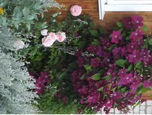 �������� ��� �������� � ���� ���� �� ������