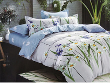 ����� ���� ���. ��-316.jpg