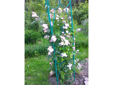 ��������� ����