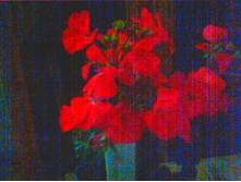 ���������� ����