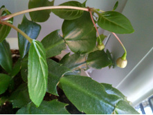 IMG 20170724 200449 HDR.jpg