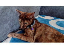 IMG 20170717 085005.jpg