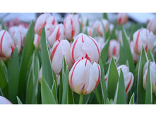 ������� ����� ������ ��-��� ��-�����-��� ���. ����.jpg