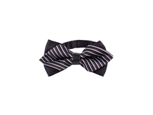 145 ���. - ������ ��� �����