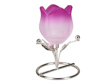 101,5 ���. - ����������