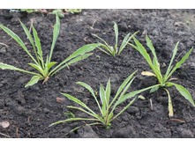 ����� ��������.JPG