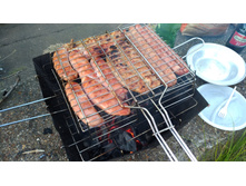 P 20170712 203210 vHDR Auto.jpg