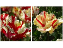 ������� ���������� ���-���� ���. ����3.jpg