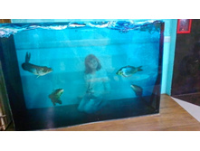 P 20170520 153935.jpg