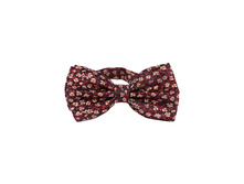 145 ���. - ������ ����� � �����