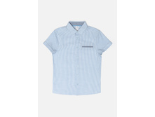 21100290003   Thellus-1          (   ).jpg