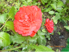 ����������