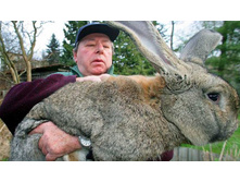 11520 ec2e55e6a5.jpg