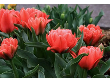 ������� �������������� ���-���� ��-�� ���. ����.jpg