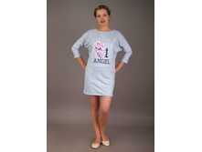 ������ ��� (�����) (���.3-271), 480 ���.