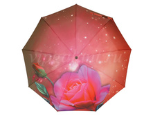 Zont-zhenskiy-109-dolphin-3-sl-c-a-poliester-roza 12.jpg