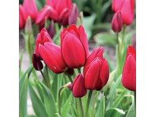 ������� �������������� ��-��� ��-�� 167,3 ���. ��. (� �������� 7 ��.). ������ �� 50 ��. ������� ������ �� 10 ��..jpg