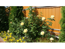 DSC07760 �� ����.jpg