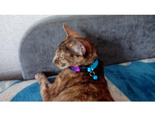 ������� ��� ����� ��� ��������� ������