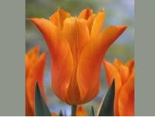 �������� ������������ ���-���� ��-��� 111,3 ���. ��. (� �������� 7 ��.). ������ �� 60 ��. ������� ������ �� 12 ��. .jpg