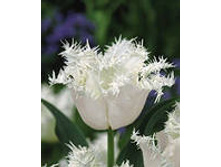 �������� ����������� ��-�� ��-��� ��� ���-���� 139,3 ���. ��. (� �������� 7 ��.). ������ �� 50 ��. ������� ������ �� 12 ��.jpg