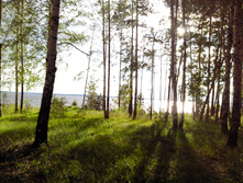 IMG 20170622 184041.jpg