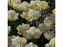 �������� �������� ������� ����-��� ��-��� ���. ����2..jpg