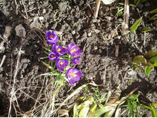 2016-03-29 15.11.15.jpg