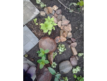 2017-06-03 18.42.43.jpg