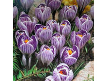 ��-��-�� ��-��-�� ���-��-���-����-��� 68 ���. ��. (� �������� 10 ��.). ������ �� 15 ��. ������� ������ 4 ��..����� ��������.jpg