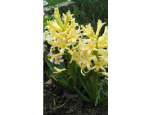 IMG 20170506 093052.jpg