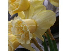 ���-���� ���-����� ��-� ���-��� 133,5 ���. ��. (� �������� 3 ��.). ������ �� 40 ��. ������� ������ �� 9 ��.!!!!!!!!!!!!!! ��������.jpg