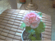 ���������� JIncky