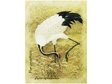 ������� ��� ������� 20�. �4 �� ������ �������, 180 ��-�2 96,5 +9��.jpg