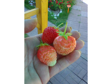 ���������?