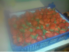 IMG 20170715 204206.jpg