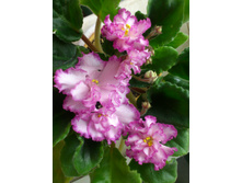 ��-������