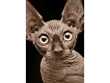 ������ 19�27 Ag 169.jpg