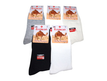 ������� ����� ������ 844 ������ 19 ���