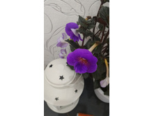 �������� Poseidon