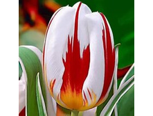 ������� ����� ������ ��-��� ��-�����-��� 97,3 ���. ��. (� �������� 7 ��.). ������ �� 55 ��. ������� ������ �� 10 ��. ��������� ������.jpg