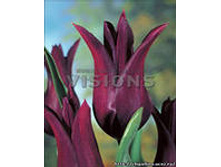 �������� ������������ ���-����� 111,3 ���. ��. (� �������� 7 ��.). ������ �� 60 ��. ������� ������ �� 12 ��. .jpg