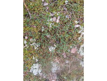 IMG 0127.JPG