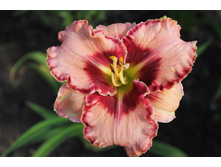 ���� ��� �������.JPG